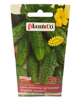 NASIONA OGÓREK SOPLICA F1  5g