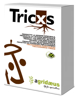 TRICXS 1KG