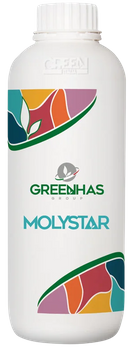 MOLYSTAR 0,25L