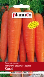 NASIONA MARCHEW KORAL-PÓŹNA 5g