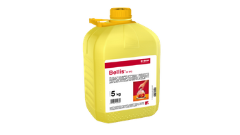 BELLIS 38WG 5KG BASF
