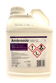 AMBROSSIO 500SC 5L INVIGO
