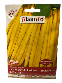 NASIONA ELEKTRA FASOLA ŻÓŁTA SZPARAGOWA 48g