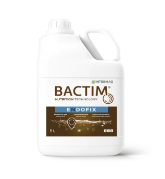 BACTIM ENDOFIX 1l INTERMAG