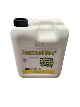 SEAWEED MIX ALGI 5,5KG