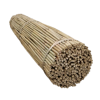 TYCZKA BAMBUSOWA 3M (2.6-2.8).