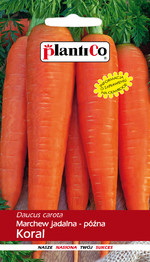 NASIONA MARCHEW KORAL-PÓŹNA 5g