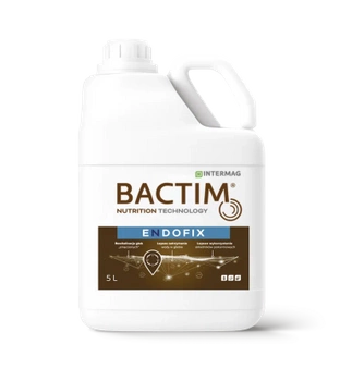 BACTIM ENDOFIX 1l INTERMAG