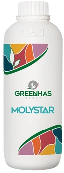 MOLYSTAR 0,25L