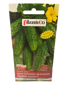 NASIONA OGÓREK SOPLICA F1  5g