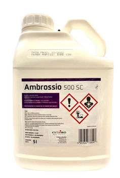 AMBROSSIO 500SC 5L INVIGO