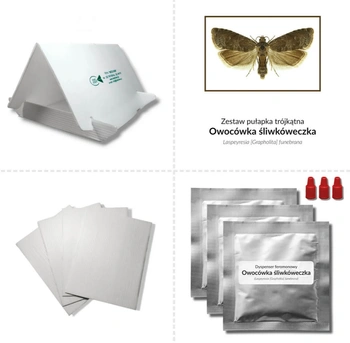 PUŁAPKA TRÓJKĄTNA OWOCÓWKA ŚLIWKÓWECZKA
