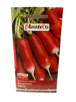 NASIONA RZODKIEWKA MILA 10g