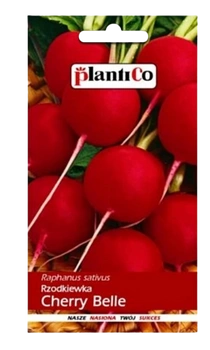 NASIONA RZODKIEWKA CHERRY BELLE 10g