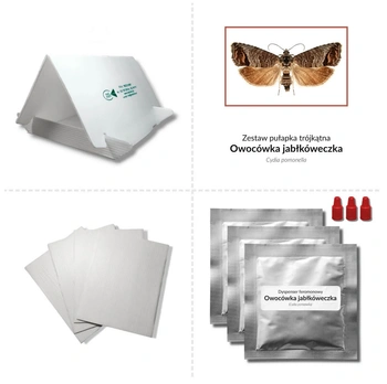 PUŁAPKA TRÓJKĄTNA -OWOCÓWKA JABŁKÓWECZKA