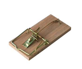 ŁAPKA NA MYSZY DREWNIANA 2 SZT  BROS