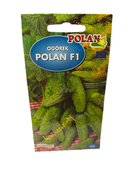 NASIONA OGÓREK POLAN F1  5g