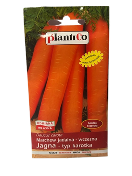 NASIONA MARCHEW JAGNA-WCZESNA 5g