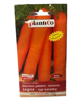 NASIONA MARCHEW JAGNA-WCZESNA 5g