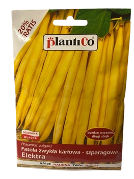 NASIONA ELEKTRA FASOLA ŻÓŁTA SZPARAGOWA 48g