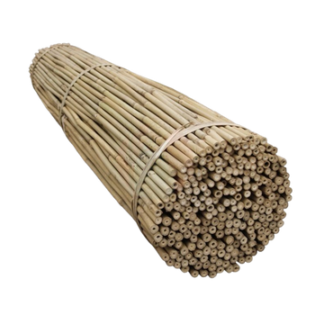 TYCZKA BAMBUSOWA 3M (2.6-2.8).